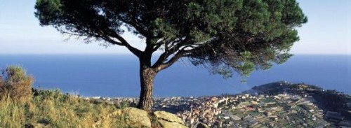Sanremo - Parco di Monte Bignone
