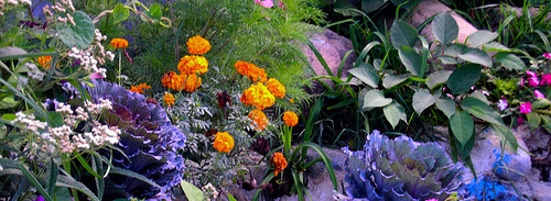 Atelier di composizione floreale