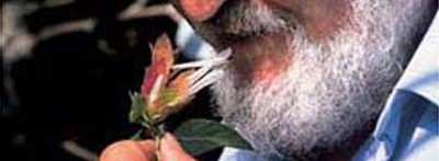 Libereso Guglielmi